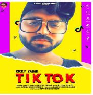 download Tik-Tok-Illegal-Beatz Ricky Zabar mp3